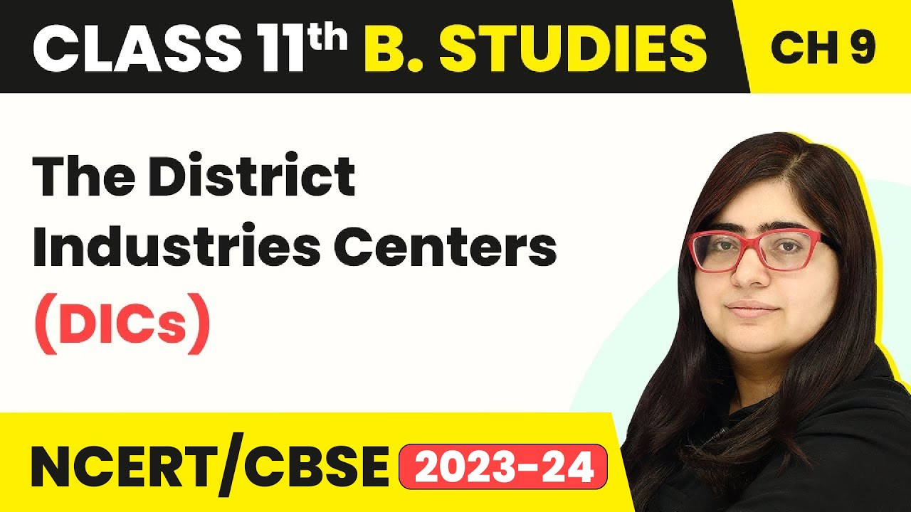 The District Industries Centers (DICs) Class 11 Business Studies