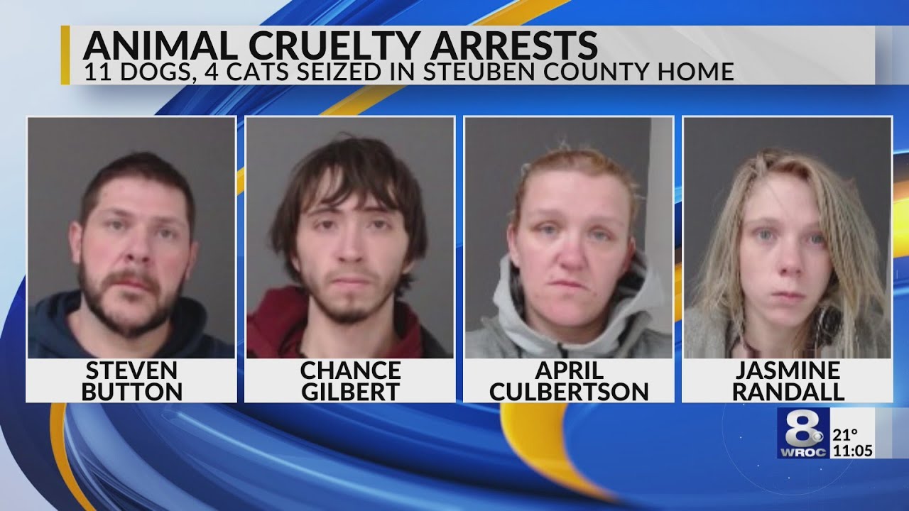 Four charged in Steuben County animal cruelty investigation