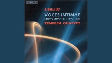 String Quartet in D Minor, Op. 56 "Voces intimae": V. Allegro