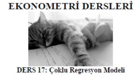 EKONOMETRİ_ÇOKLU REGRESYON MODELİ