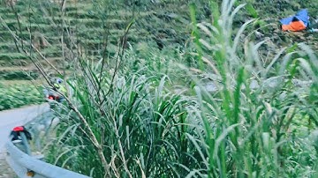 Chinh Phục cực Bắc Tổ Quốc. 🚩Cột Cờ Lũng Cú| Đồng Văn | Hà Giang.