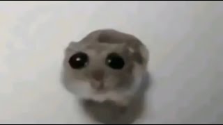 Shitposting Compilation V88