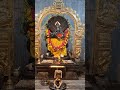 Mereo maan hogayo Lata Pata 🌼🌸🙏🙏 #shorts #bakebihariji #jaishreekrishna #radhakrishna #radheradhe