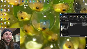 Webinar: Fundamentals of R for Biologists