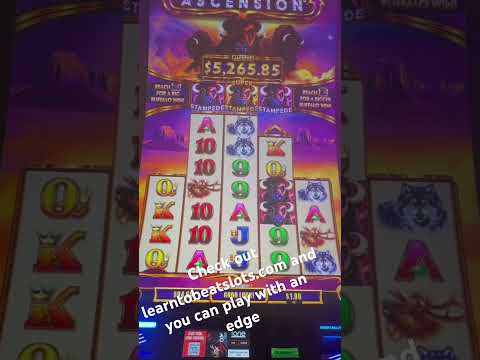 CRAZY GIRLS / RIVIERA CASINO / LAS VEGAS 2/2