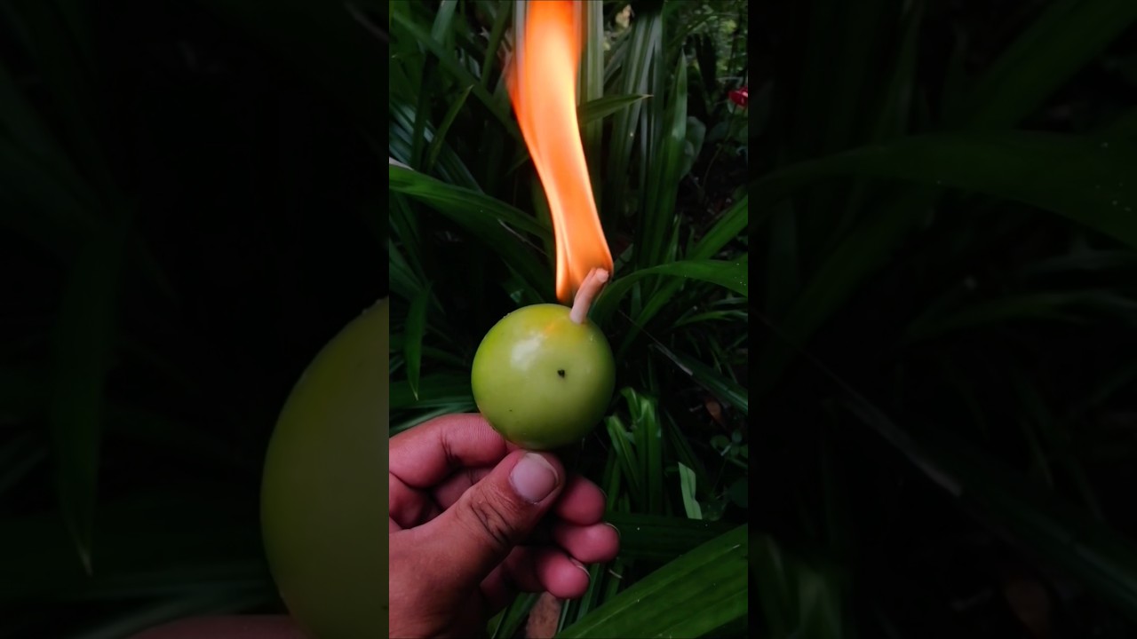 Passion fruit Lamp 😯 