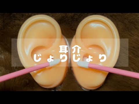 🎎リップチップでシリコン耳の耳介をマッサージする/気持ち良いジョリジョリ音/Ear Cleaning 【ASMR】🐶