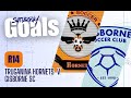 2025 SL5W Men Round 14 Goals 2025 SL5W Men Round 14 Goals