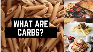 What Are Carbs? : 25 Min Phys