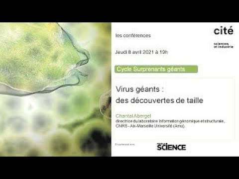 Vidéo: Un Nouveau Virus Géant A été Découvert - Vue Alternative