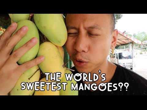 Video: Filipīnās Ir 10 Miljoni Papildu Mango Pēc Karstuma Viļņa