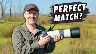 Canon R7 &amp; RF200-800mm Field Tested - Incredible Reach