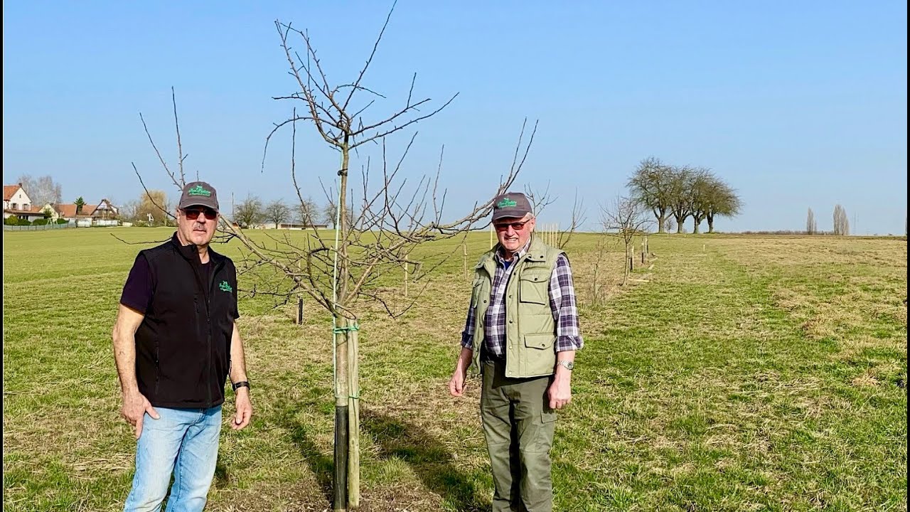 Cours de Taille fruitiers à Batzendorf - février 2021 Association Fruitière de Haguenau et Environs.