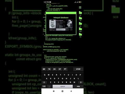 Hacking Interpole data