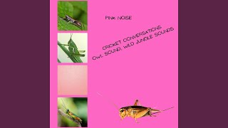 Healing Storm (Pink Noise) Loopable