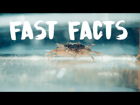 Uni Greifswald Fast Facts
