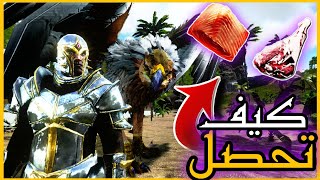 ارك سرفايفل موبايل | طريقة الحصول على لحوم البرايم ark survival evolved mobile