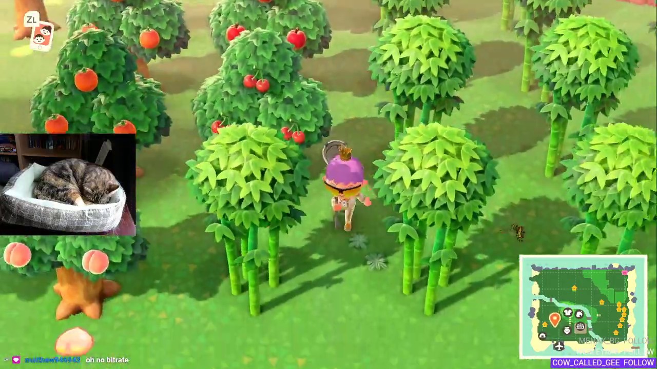 June Bugs and Fish! | Animal Crossing: New Horizons