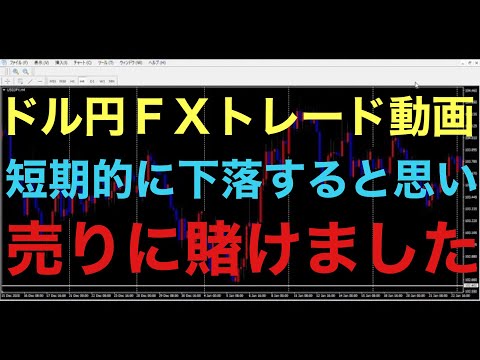 【ドル円FXトレード】エントリー理由解説付き！5000円から1000万円チャレンジ！15000円を20000円に狙います！