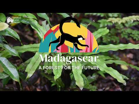 Madagascar: A Forest for the Future