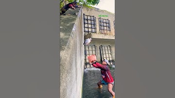 Cá Lớn - Rô Phi Khủng mắc kẹt trên tường 😱 #khacthuyvlogg