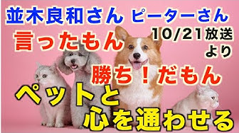 言ったもん勝ちだもん Youtube