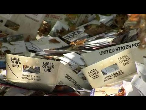 Piles of Mail Dumped In the Woods