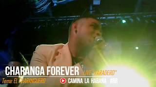 Miniatura de vídeo de "EL CHARANGUERO - CHARANGA FOREVER | CAMINA LA HABANA by RENZO REY #RR"