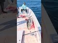 【ルアーオフショア】ヤバい引き!マグロがヒットしてドラグ音止まらんwww【海釣り】