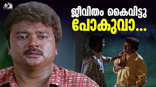 ജവത കവടട പകവ... Pattabhishekam Pattabhishekam Jayaram Harisree Ashokan Movie Scene