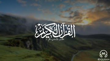 قرآن كريم بصوت محمد كمال هاشم | حالات واتس اب دينية - سورة الزمر