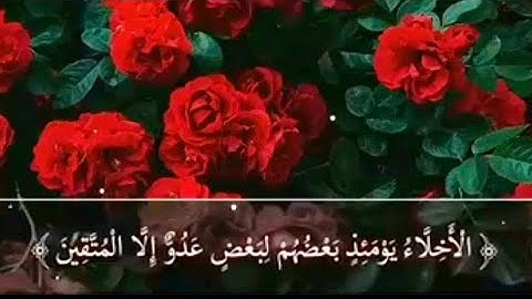 القارئ :سعد الغامدي ||الْأَخِلَّاءُ يَوْمَئِذٍ بَعْضُهُمْ لِبَعْضٍ عَدُوٌّ إِلَّا الْمُتَّقِينَ||