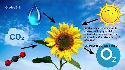 CCC 5: Energy & Matter