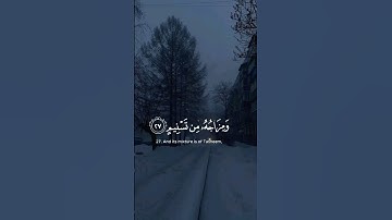 ختامه مسك وَفِي ذلك فليتنافس المتنافسون | القارئ محمد اللحيدان
