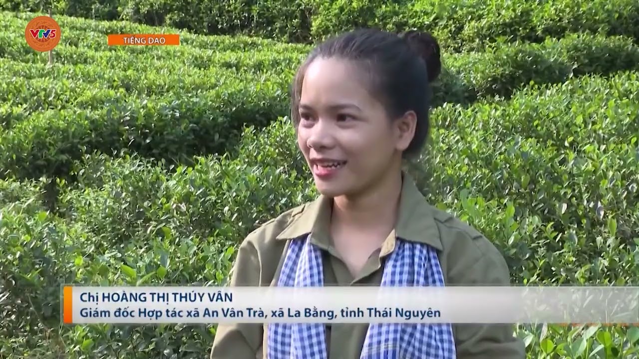 [TIẾNG DAO] NGƯỜI TRẺ VÀ ĐAM MÊ “TÔI VIẾT TÊN VÙNG MIỀN” | VTV5