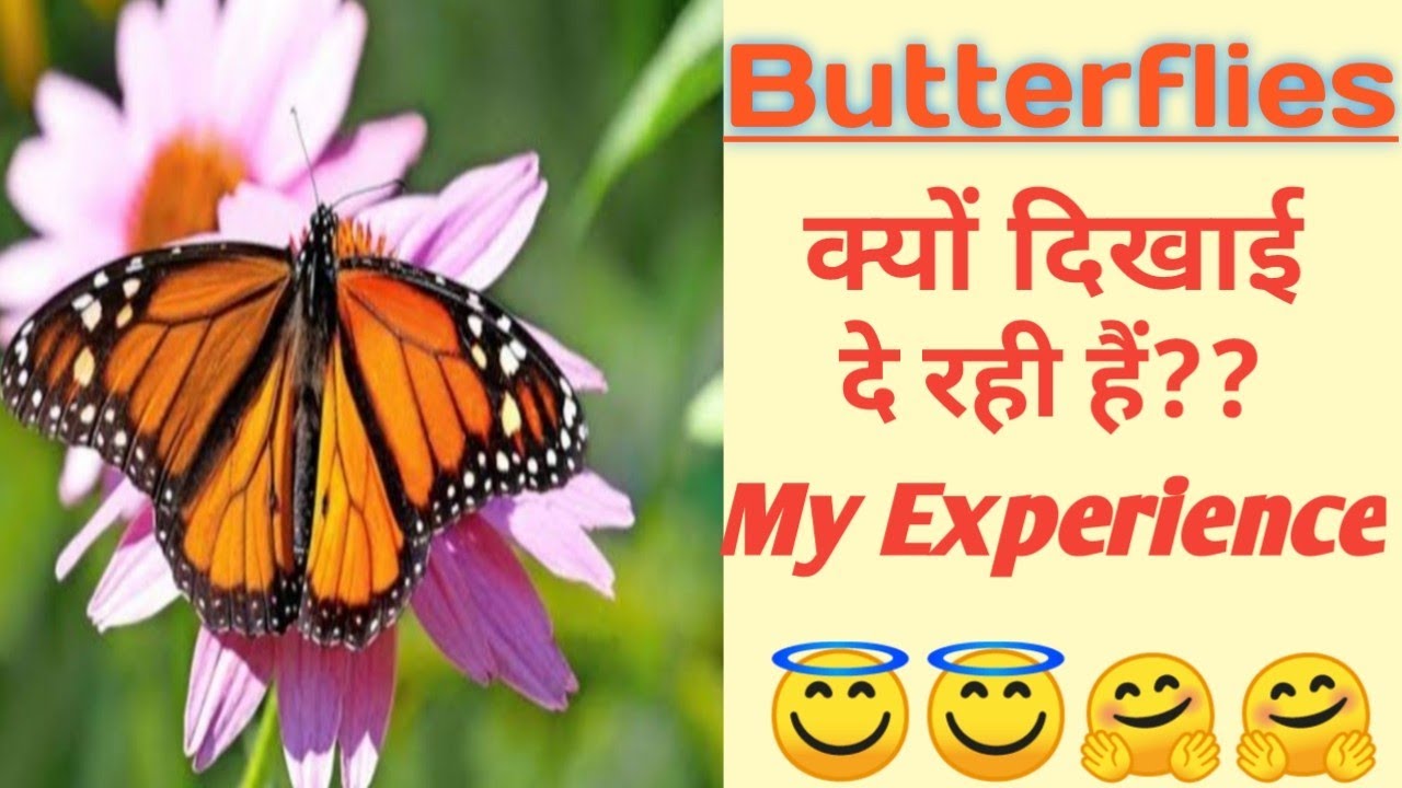 Baar baar butterflies 🦋🦋 dekhne ka kya mtlab hota hai...... YouTube