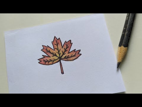 Desenhando FOLHA SECA DE BORDO - FOLHA DE OUTONO -Drawing dry maple leaf - vídeo para relaxar
