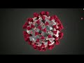 TRAP Querl Corona Virus TRAP Querl Corona Virus