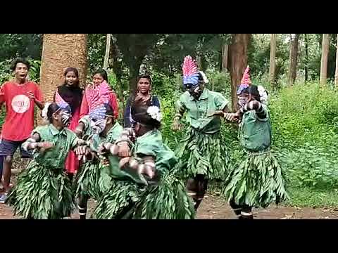 BSG Karnataka  Kodagu  Tribal Dance  Govt Higher Primary School Kutta  Guides