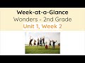 Understanding Families and Language Concepts