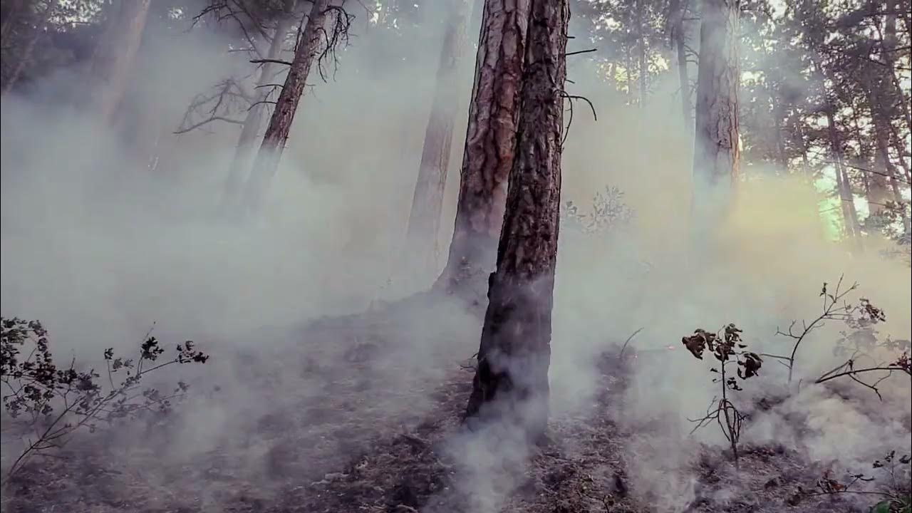 Не бросай окурки - YouTube