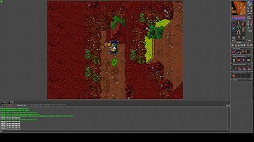 Tibiavn mad mage loot mage