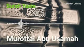 Murottal Abu Usamah Merdu Surah Yasin