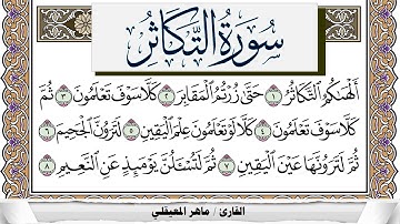 سورة التكاثر مكتوبة ماهر المعيقلي Surah Al Takathor Maher Al Muaiqly برواية حفص عن عاصم