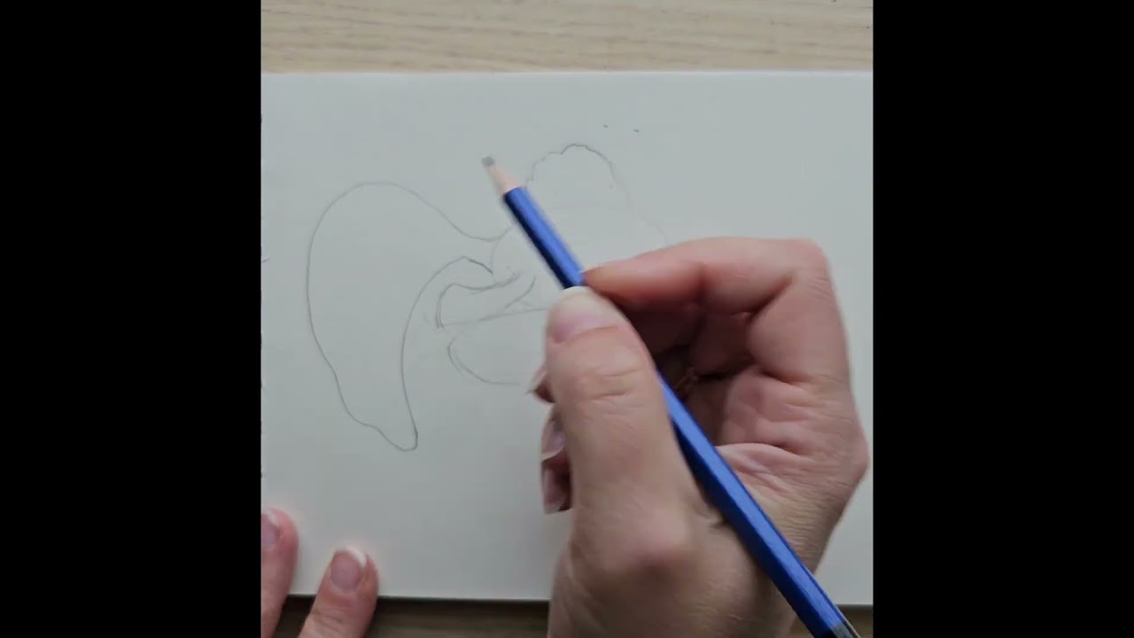 Fish, fish with a pencil. Draw with children, it's easy. Рыбка, рисунок карандашом 