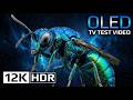 UNBELIEVABLE 16K Ultra HD Nature – OLED TV Test &amp; Dolby Vision HDR (Relaxing Music)