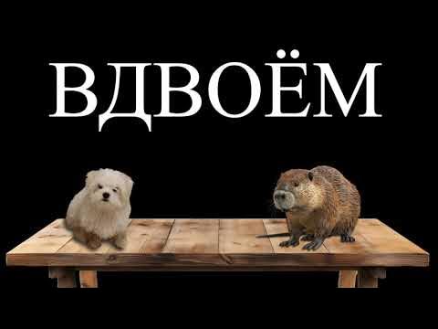 Песня сидим с бобом за столом вдвоем. Песня сидим с бобом за столом вдвоем. Песня сидим с бобом за столом вдвоем. Песня сидим с бобом за столом вдвоем. Песня сидим с бобом за столом вдвоем.