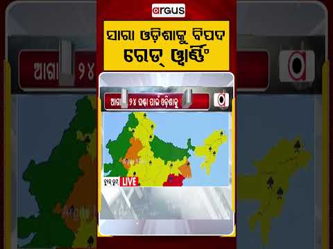 ସାରା ଓଡିଶାକୁ ବିପଦ ରେଡ୍‌ ୱାର୍ଣିଁ | Argus Reels | OdishaRain | RedAlertOdisha | IMDAlert | LowPressure