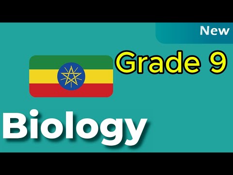 Grade 9 Biology Unit 2 Lesson 10 Kingdom Fungi