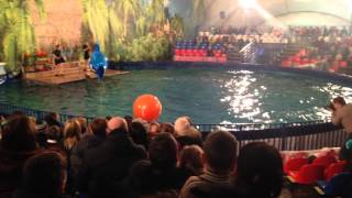 ДЕЛЬФИНАРИЙ В РЯЗАНИ игры в мяч DOLPHINARIUM IN RYAZAN ball game ДЕЛЬФИНАРИЙ В РЯЗАНИ игры в мяч DOLPHINARIUM IN RYAZAN ball game